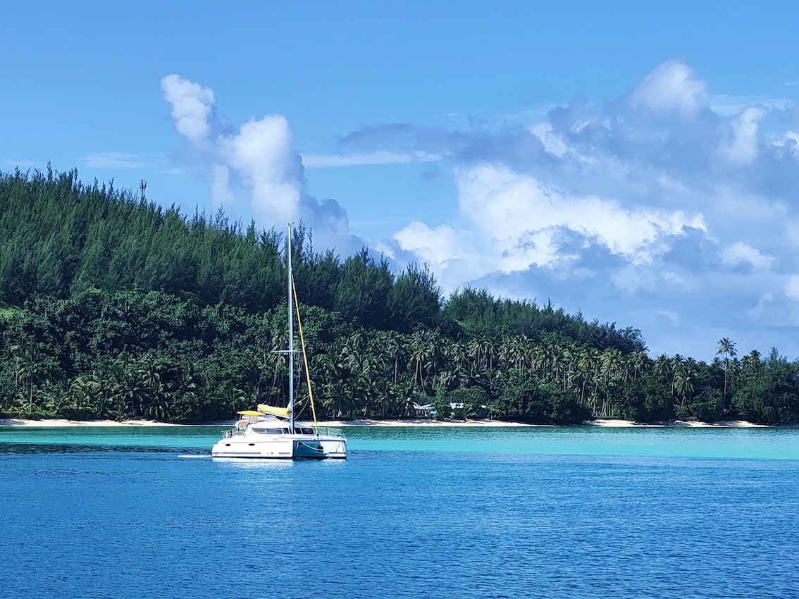 ������������ ������� � ���������� � �������� �������� �� �������� ����